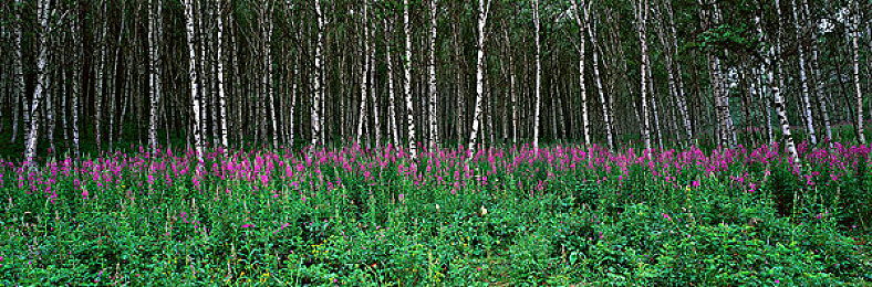 十大色黄软件：霓虹飞驰极光赛道，视觉盛宴与竞速艺术的完美融合-3