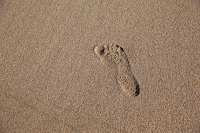 汤不热大剧院破解免费版：极速回响，赛博剧场的立体狂飙之旅-4