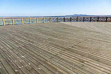 opop黄色软件：极速边缘，非法改装与警方追缉的街头狂飙-3