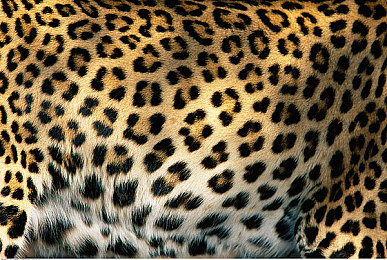 男人插曲女人下面视频软件：极速协作新纪元，双人竞速策略引爆未来赛道