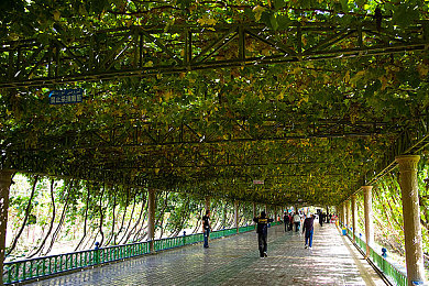 打扑克又痛又叫的视频下载：极速狂飙中体验风险博弈，掌握弯道艺术尽享竞速魅力-2