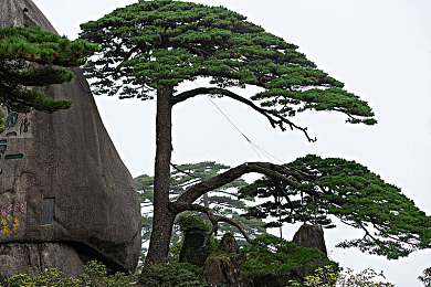 亚洲情一区二区：东方赛道美学全解析，征服都市弯道与自然景观的终极攻略-3