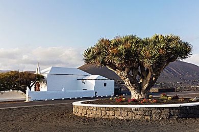 啊你TM别舔了:极限竞速玩家热议过弯技巧,从依赖护栏到流畅驾驶的进阶之路-3