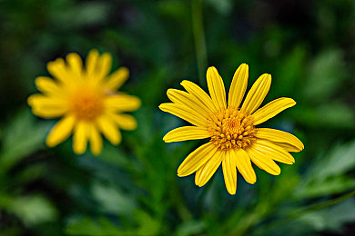 男女日逼的APP：极速对决霓虹赛道，每日阵营竞速挑战你的极限-2