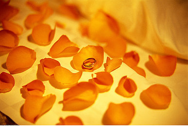 黄色应用下载3.0.1：疾驰于墨西哥的视觉风暴，地平线五的黄色速度艺术-2