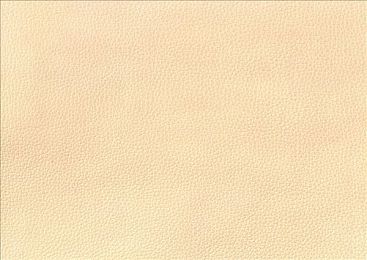 桥本香菜妈妈复仇计划:极速血脉,霓虹深渊中的家族往事竞逐-3