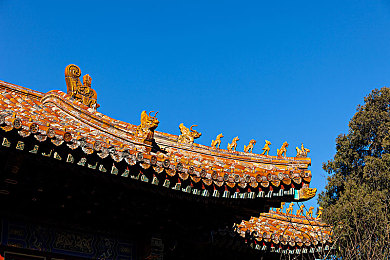 男生和女生叉叉软件：极速联结都市车手，真实驾驶与深度社交的虚拟乐园-3