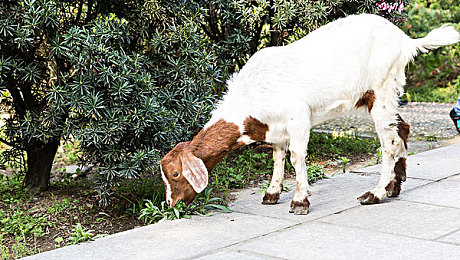 汤不热大剧院破解版2023更新：虚拟舞台竞速新纪元，多层立体赛道光影狂飙-2