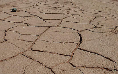 后进圆润翘臀大屁股:极限竞速地平线5最新评测,曲线美学车型实战攻略全解析-3