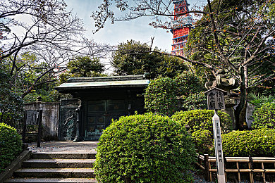 蝌蚪窝一个释放蝌蚪的平台：今日上线，极速蝌蚪揭秘终极进化形态解锁全攻略-3