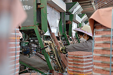 妖精漫画免费漫画页面在线看漫画的优点：极速幻想，漫画赛道上的热血狂飙与策略竞速