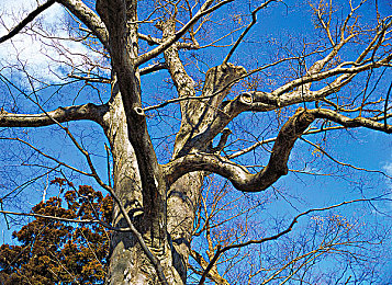 下载美女差差差:《极速颜值挑战》创新融合评分互动,赛车游戏迎来策略驾驶新浪潮-2