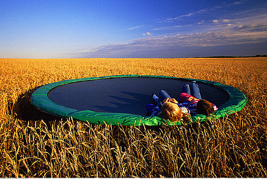 XDEVIOS中文免费版安装下载:极致竞速新作登场,真实物理与深度改装引爆驾驶激情-5