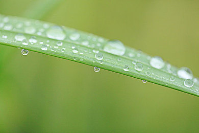 黄色软件这么下载：揭秘极速黄蜂插件，街头争霸隐藏车辆与赛道获取全攻略-2