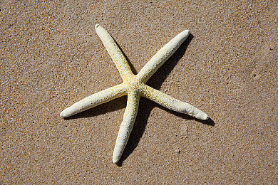 三级AV片：极速境界，引擎之心，制动之魂的赛车三重奏-2