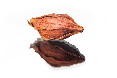 中国Gay男奴Sm调教：极速掌控，赛道调教师与钢铁灵魂的精密对话