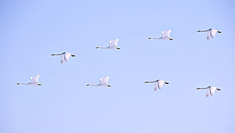 软件下载3.0.3免费oppo版破解大全苹果,可以下载视频:街头竞速新版本上线,动态天气与回放系统全面解析-1