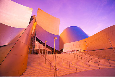 五月天婷婷丁香五月：疾驰于虚拟花海，墨西哥的竞速诗篇-2