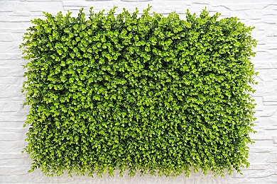 超超AV：极致视听革命，2023年赛车游戏如何重塑沉浸式驾驶体验-2