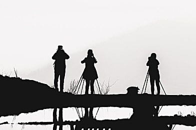 含羞草隐藏途径2025：极速黎明中的未竟之路，生态谜题与未来赛道交织之旅-3