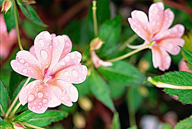 打扑克又叫又病：竞速与策略的终极融合，卡牌对决新作《狂飙牌手》今日正式上线-4