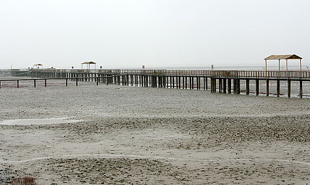 oppo每天无限次下载3.0.3：极速迭代无限赛道，每日动态更新，驾驶永不重复的竞速体验-2