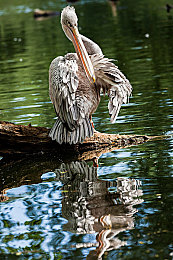 tiktok色板2.4.8：独立游戏新作引爆潮流，色彩竞速玩法颠覆传统驾驶体验-3