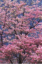 黄色污染件：穿越辐射的黎明，货运者的最后抉择与救赎之路-3