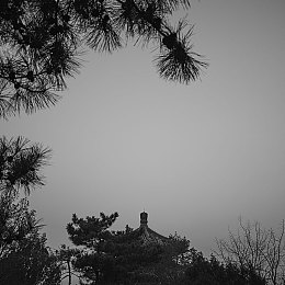 王者荣耀女英雄皮肤无小内皮肤无爱心：设计理念革新，英雄服饰更迭引热议，探讨视觉表达新趋势-4