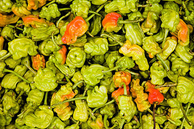 男生和女生差：极限竞速数据揭秘，不同性别玩家驾驶策略竟有互补优势-2