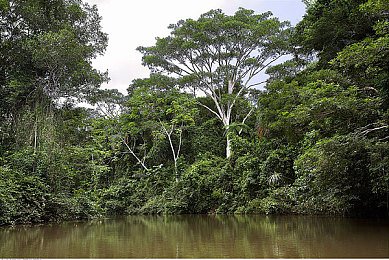 修修的漫画在线阅读页面免费漫画入口页面小窗口：漫画与赛车交织，双线竞速引爆跨次元狂飙体验-2