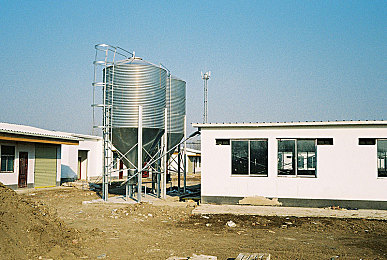 屁股网站：霓虹夜幕下的疾驰艺术，虚拟世界的尾迹美学-4