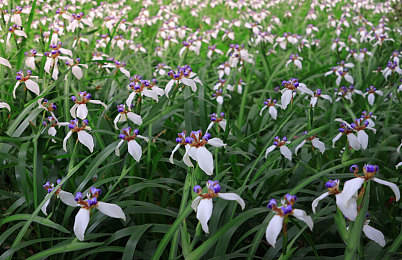 在床上做运动拔萝卜：卧榻耕耘竞速，田园飙车物语-2