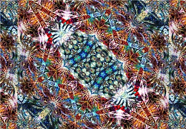 十八摸软件：极限车手，隐藏车库中的深度调校彩蛋揭秘-4