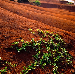 女生的坤坤：隐藏王牌逆袭赛道，揭秘被低估的弯道王者改装攻略-2