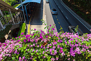 男生和女生差差差视频软件：竞速新维度，差异策略驱动，赛道社会学实验-3