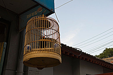 打女生光屁股spanking惩罚视频：赛道女王挑战赛上线，趣味惩罚机制引爆竞速新体验-2