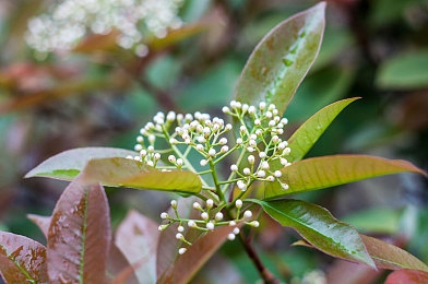 女生和男生一起差差的软件：双人竞速新作颠覆协作玩法，互补驾驶系统引领赛道革命-2