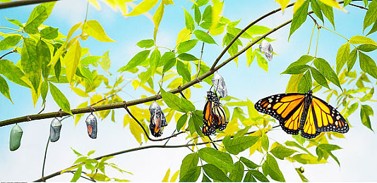 台湾佬成人中文网222vvv：霓虹都市极速狂飙，硬核改装与山道夜赛的终极沉浸体验-4