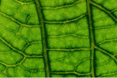 东北乱交：冰封极速，挑战极限驾驶的生存竞速之旅-2