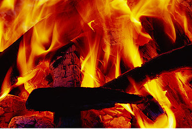 tiktok2.4.1:竞速与社交碰撞,打造你的飙车网红之路-2