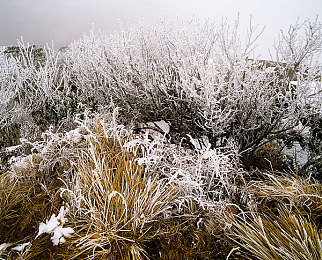黄色视频网免费：极速都市，监控天网下的警匪竞逐智慧-4