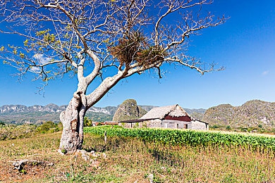 婷婷五月网丁香五月：《花影极速：五月丁香》正式上线，在赛博花海开启全新竞速之旅-3