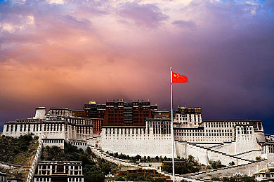 javascript中国免费：驾驭代码引擎，体验极速狂飙的编程赛车之旅-3