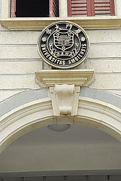 《被按摩师按到高潮做了3次》:极致拟真驾驶体验,人车合一多重感官盛宴-2