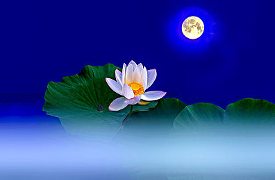 星空传媒天美传媒有限公司：虚拟竞速新作发布，跨界科技座驾颠覆玩家驾驶体验-2