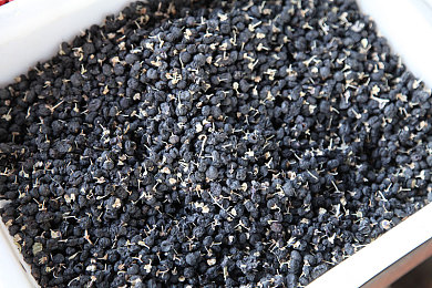 黄色软件0003：解锁雨夜废弃车厂的动态数据流涂装之谜-4