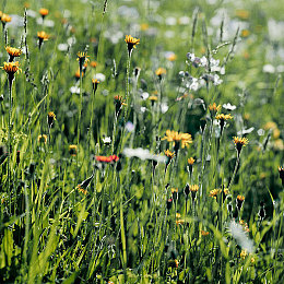 18摸下载：卡牌改装疾驰，策略竞速无限-2