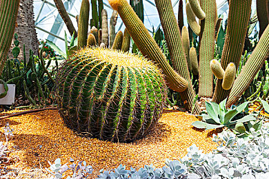 五一黑网：暗影疾驰，数据迷踪中的极速解码战