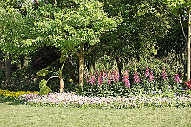 成人片AV：《街头竞速：视觉冲击》正式发售，动态视觉系统重新定义极速美学-2